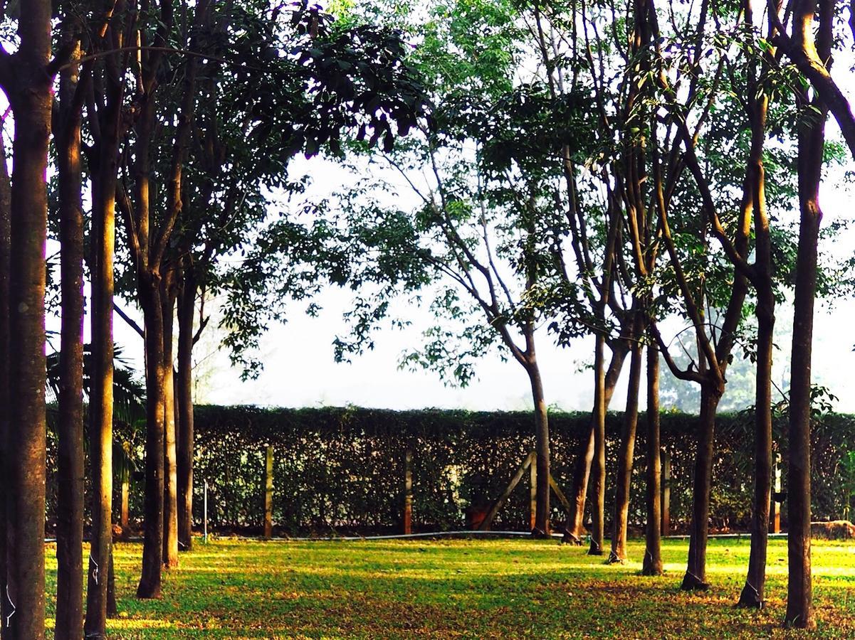 Hotel Singha Rubber Tree Ban Huai Maenam Noi Exterior foto